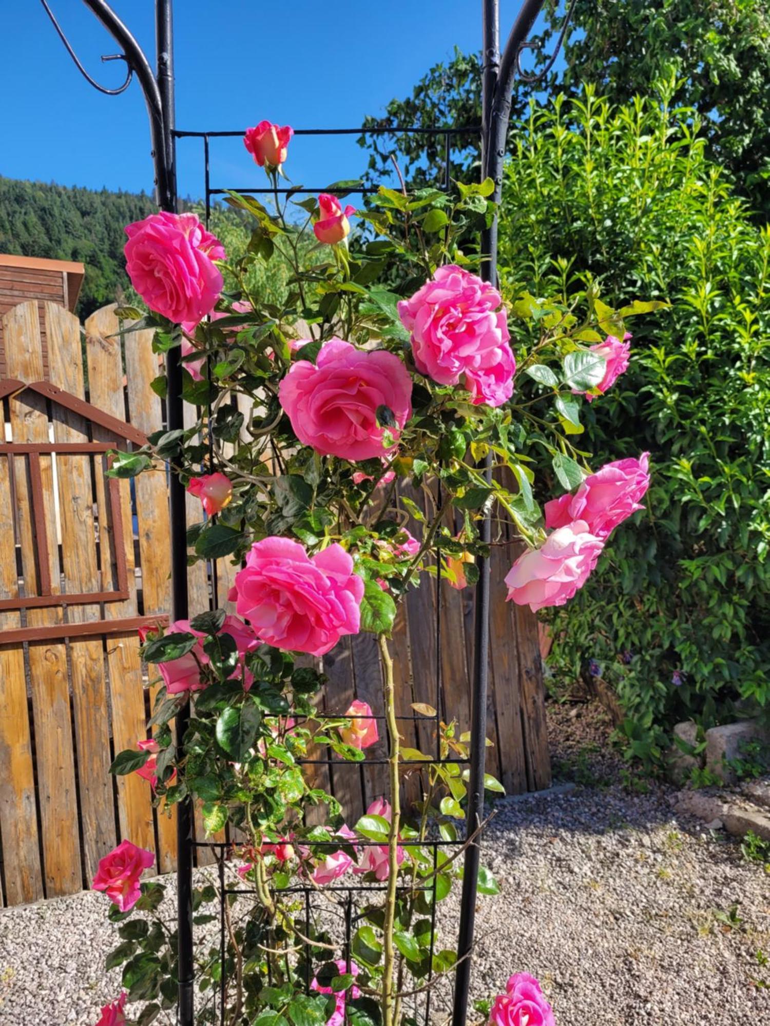Gites Les Grandes Voies - Cle Vacances Le Ménil Esterno foto