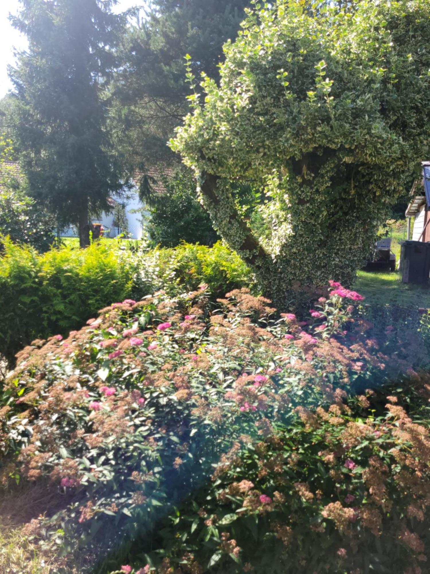 Gites Les Grandes Voies - Cle Vacances Le Ménil Esterno foto