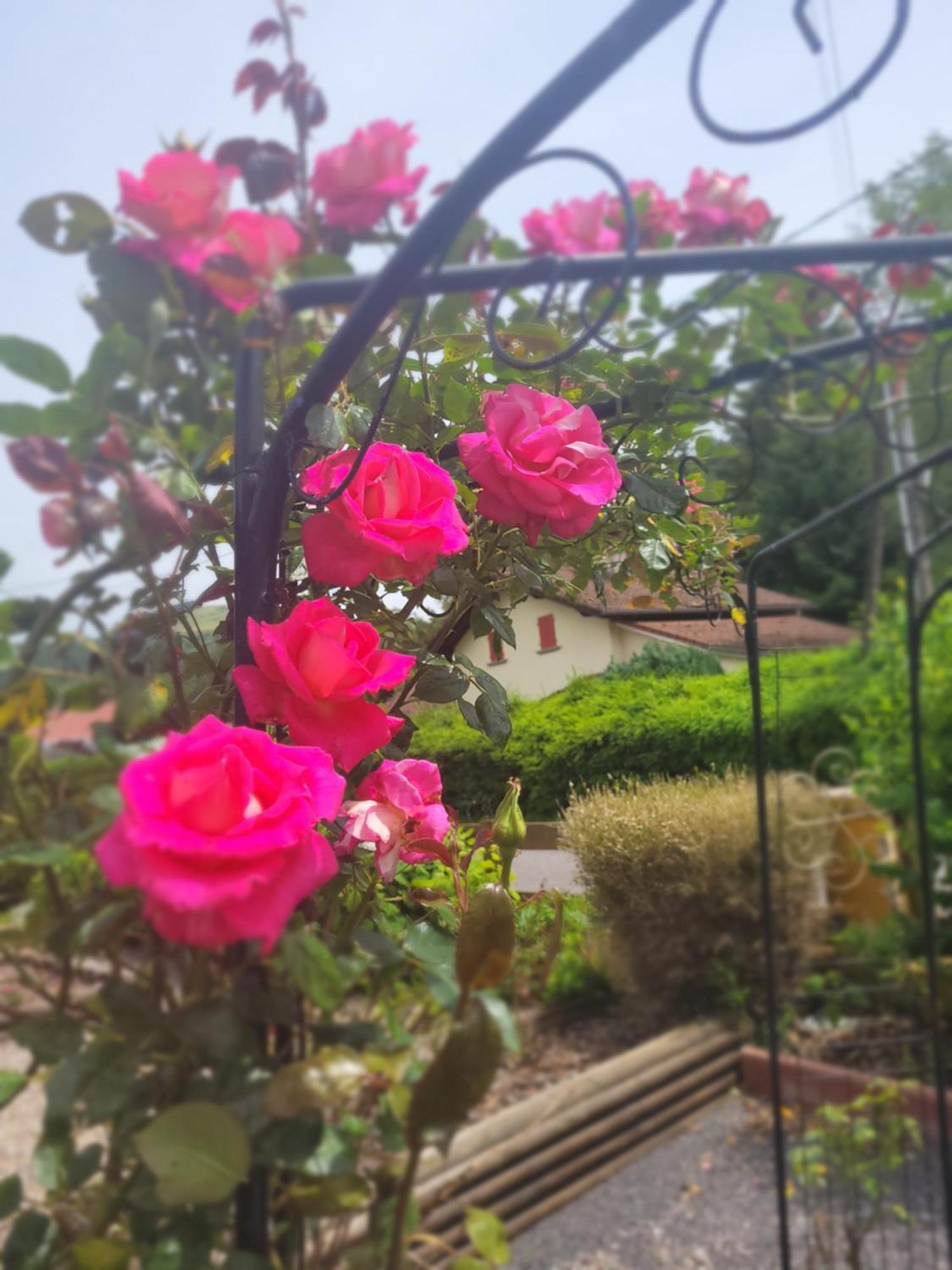Gites Les Grandes Voies - Cle Vacances Le Ménil Esterno foto