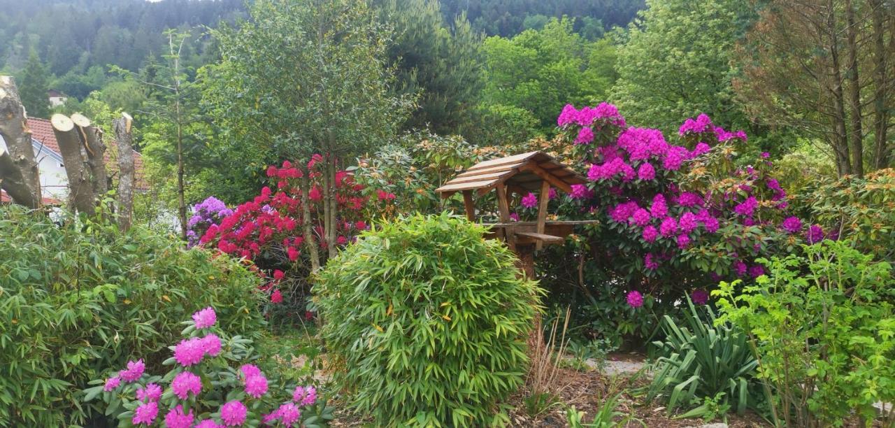 Gites Les Grandes Voies - Cle Vacances Le Ménil Esterno foto